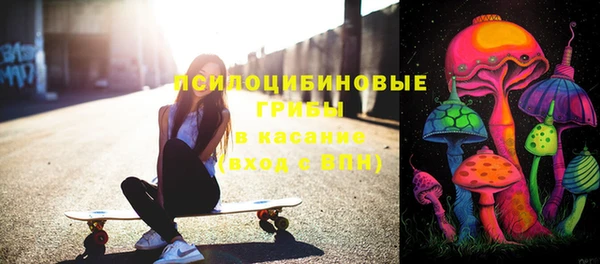 мет Алексин
